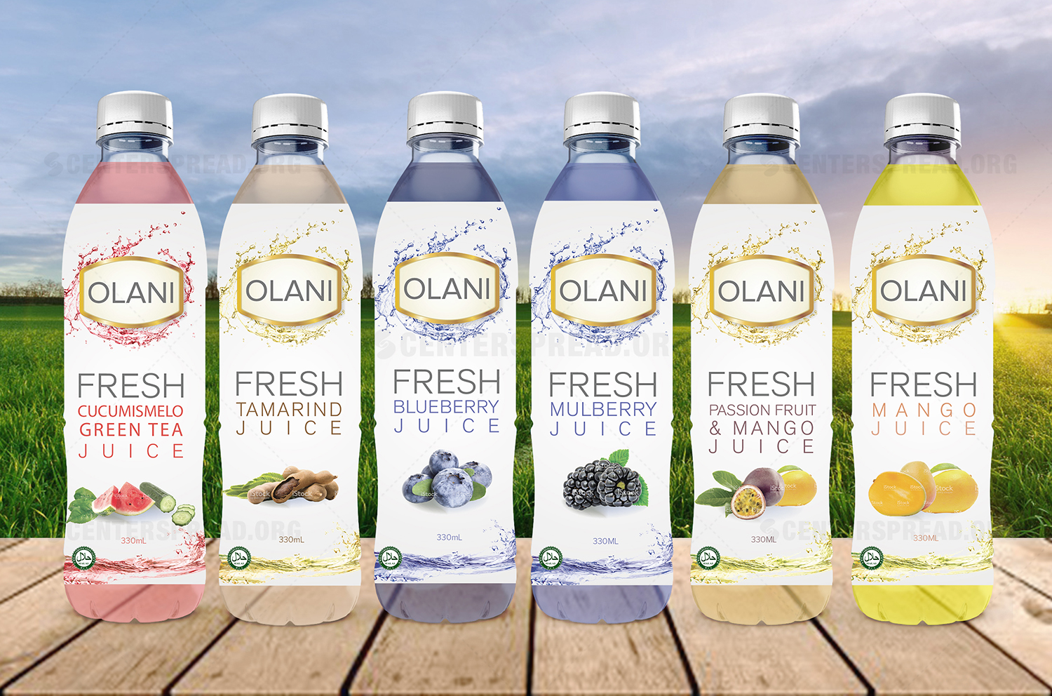 Packaging Design by CENTERSPREAD for Victoria Group Inc., | Design #15376234