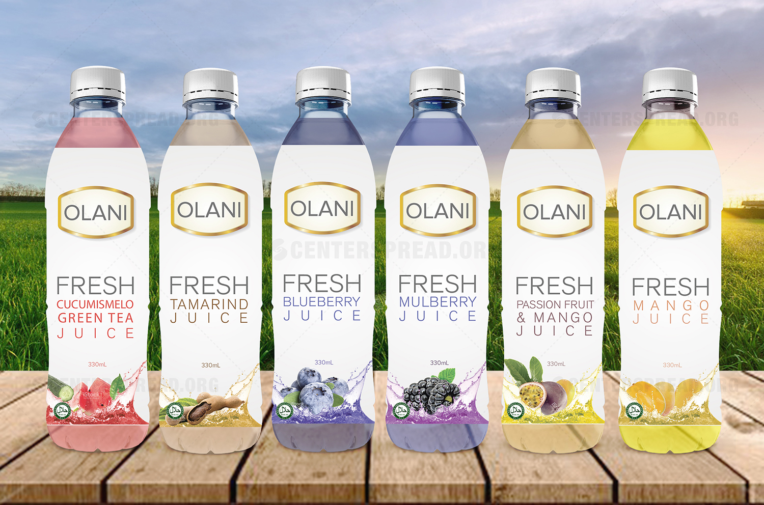 Packaging Design by CENTERSPREAD for Victoria Group Inc., | Design #15376236