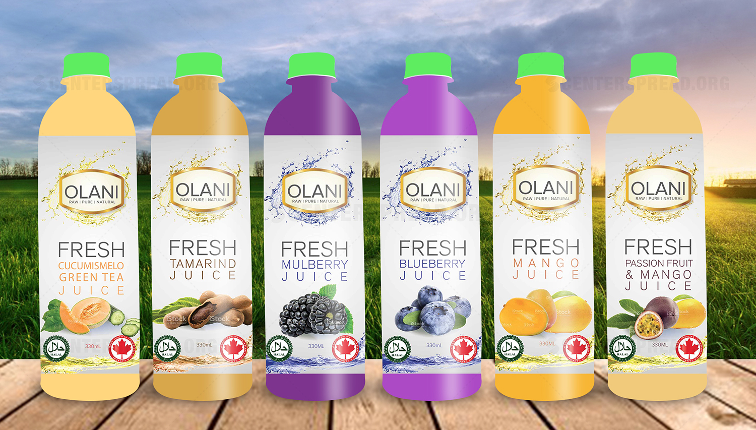 Packaging Design by CENTERSPREAD for Victoria Group Inc., | Design #15478542