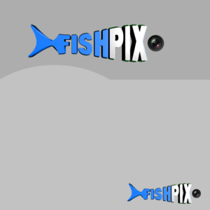 Diseño de Logo por duglas para Airfirshy | Diseño: #15343543