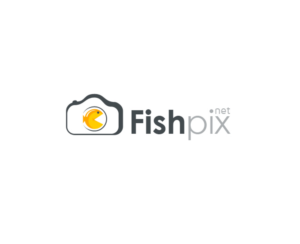 Logo Design by Chikki for Airfirshy | Design: #15335934