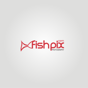Logo Design by Zk design