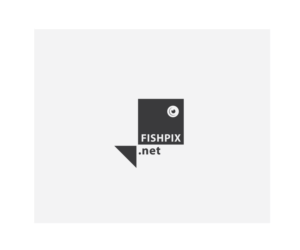 Logo-Design von Sunny für Airfirshy | Design: #15324911