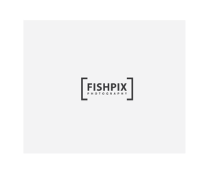 Logo Design by Sunny for Airfirshy | Design: #15335263