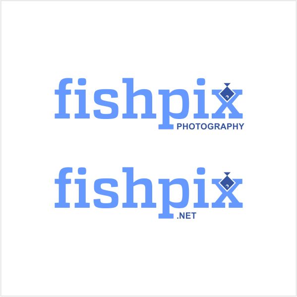 Logo-Design von bandhuji für Airfirshy | Design #15325477