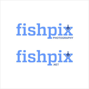 Logo-Design von bandhuji für Airfirshy | Design: #15325477