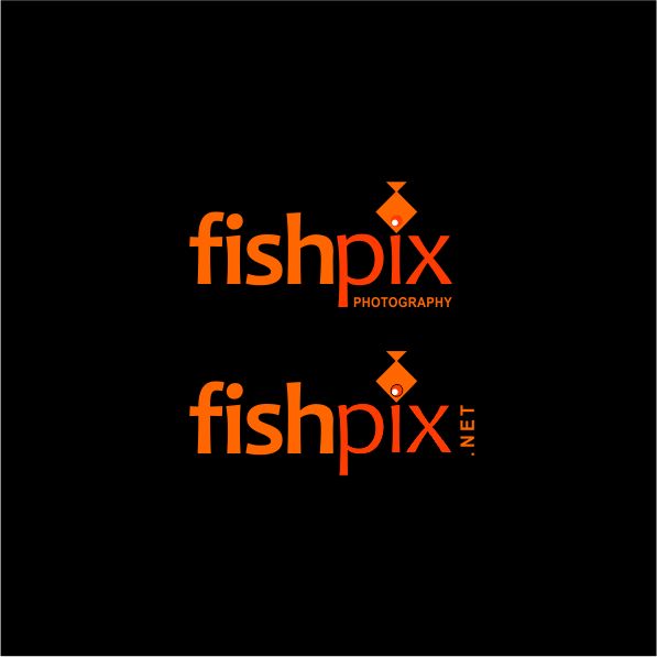 Logo Design by bandhuji for Airfirshy | Design #15325483