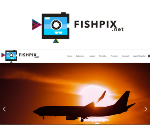 Diseño de Logo por autumnstears para Airfirshy | Diseño: #15349195