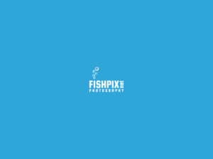 fishpix photography  | Logo Design by mldtrvs
