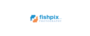Logo-Design von ashyne09 für Airfirshy | Design: #15333732