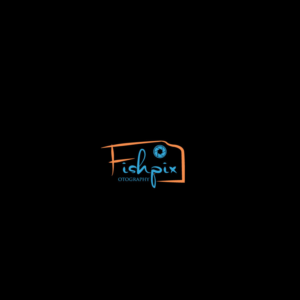 Logo Design by Niizam's for Airfirshy | Design: #15333725
