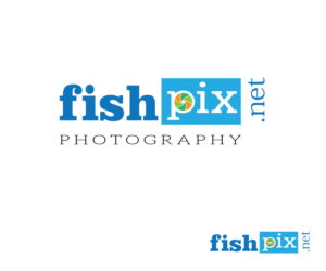 Logo Design by sugunaraj palaniraja for Airfirshy | Design: #15336359