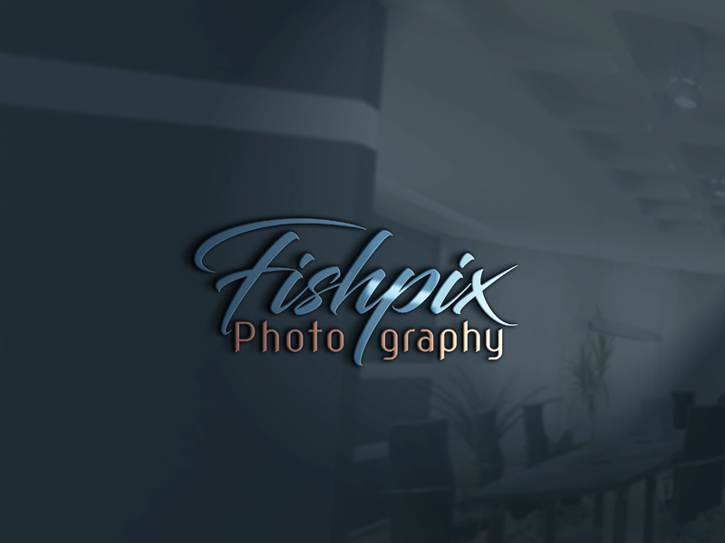 Logo Design by 24designer.uk for Airfirshy | Design #15333542