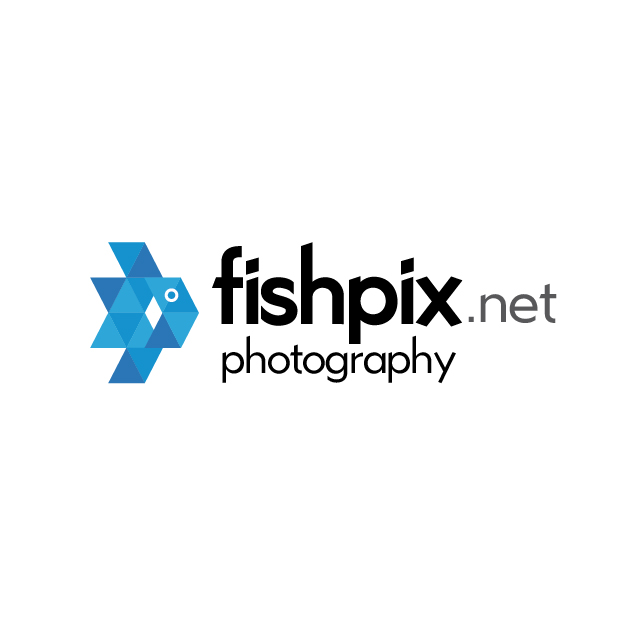 Logo Design by Morgan Fisher for Airfirshy | Design #15337230