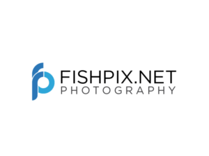 Diseño de Logo por Morgan Fisher para Airfirshy | Diseño #15358148