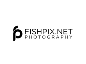 Logo-Design von Morgan Fisher für Airfirshy | Design: #15358150