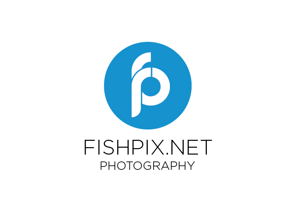 Logo Design by Morgan Fisher for Airfirshy | Design #15358151