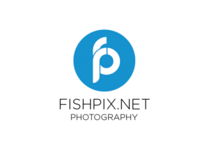 Logo-Design von Morgan Fisher für Airfirshy | Design: #15358151