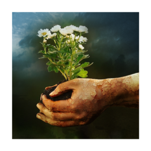 Photoshop Design by Titudesign