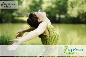 Diseño de Logo por mzeeDesign para Big Picture Health | Diseño: #593218