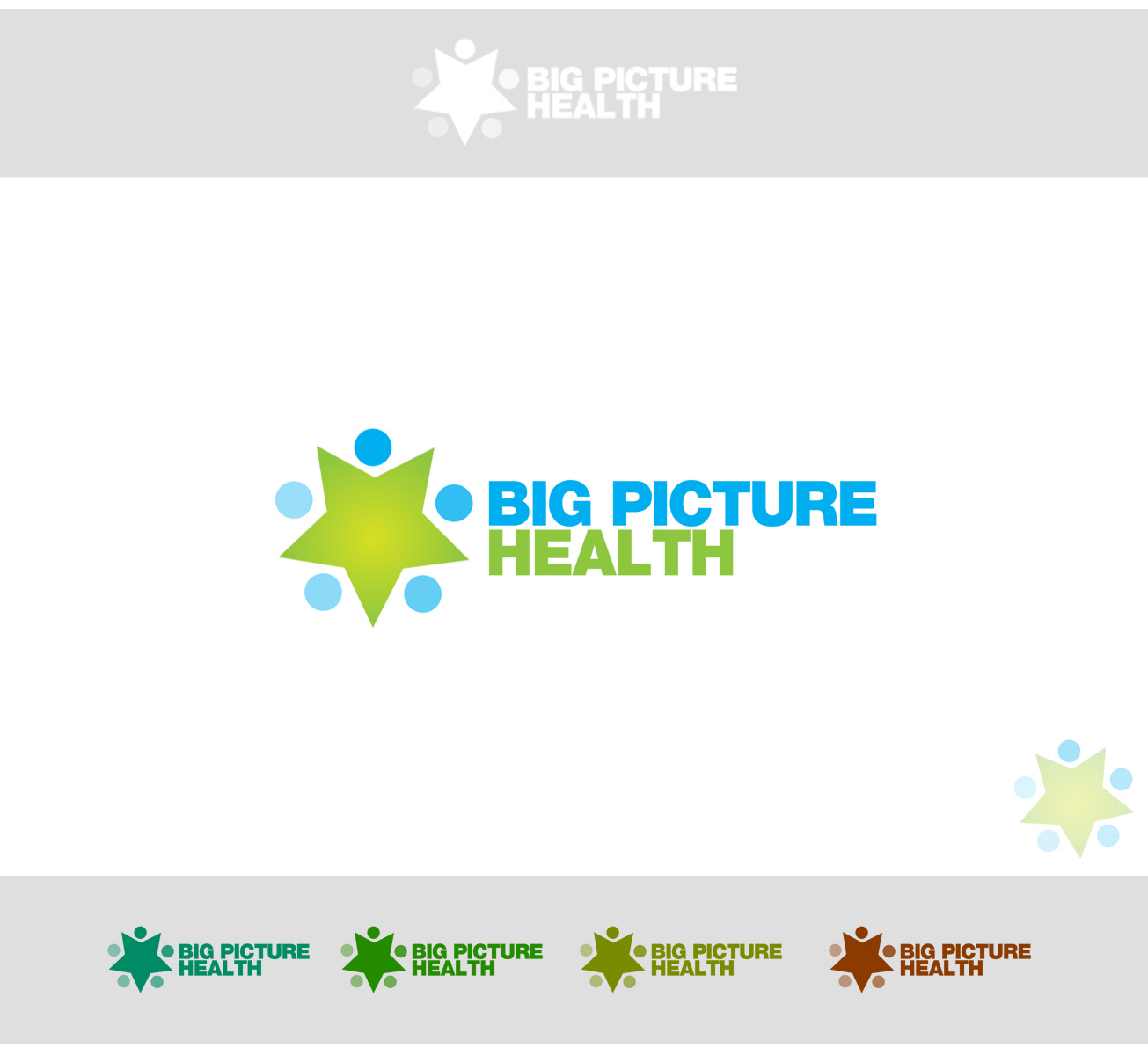 Logo Design by mzeeDesign for Big Picture Health | Design #606287