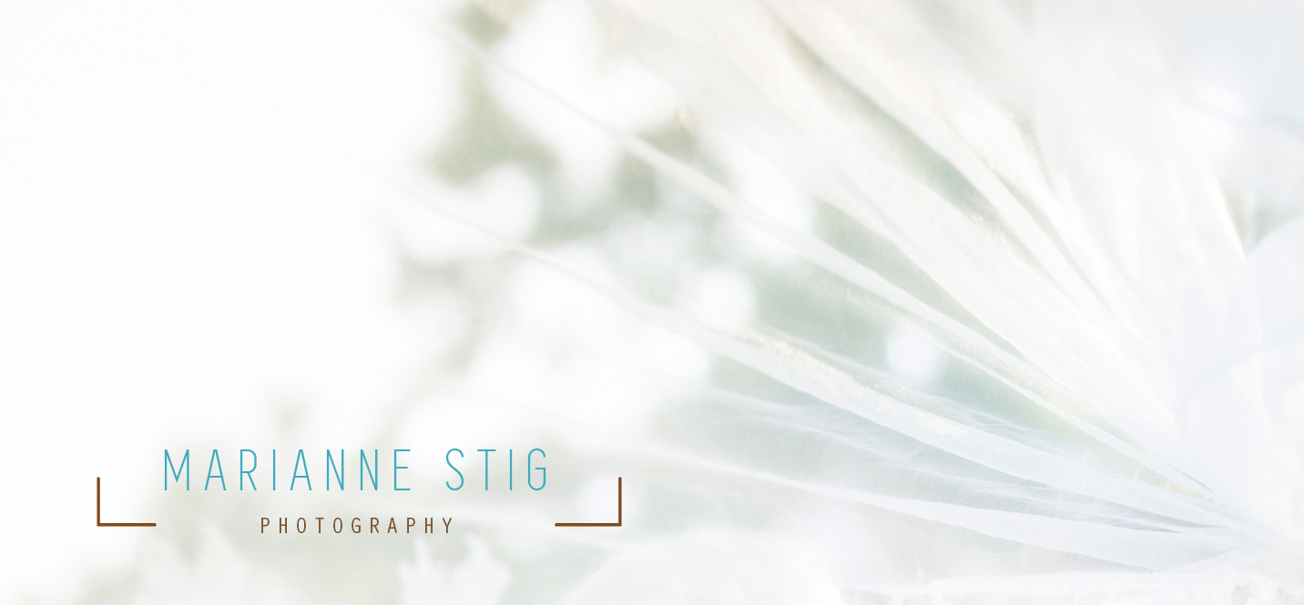 Logo Design by Sarah Mathews for Marianne Stig Photography | Design #15358681