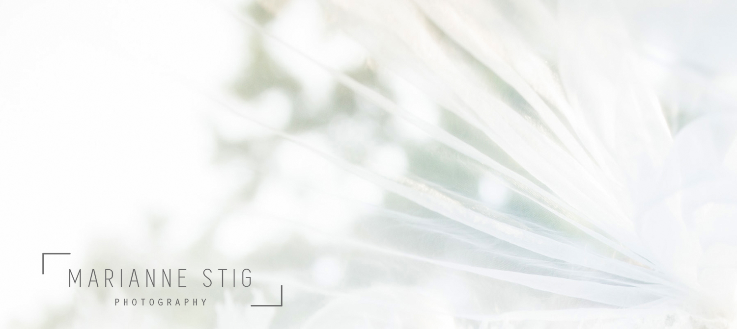 Design de Logo par Sarah Mathews pour Marianne Stig Photography | Design #15411500