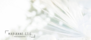 Logo Design by Sarah Mathews for Marianne Stig Photography | Design: #15411501