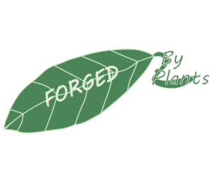 Logo Design by Nightshade