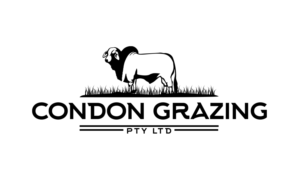 Logo Design by trufya
