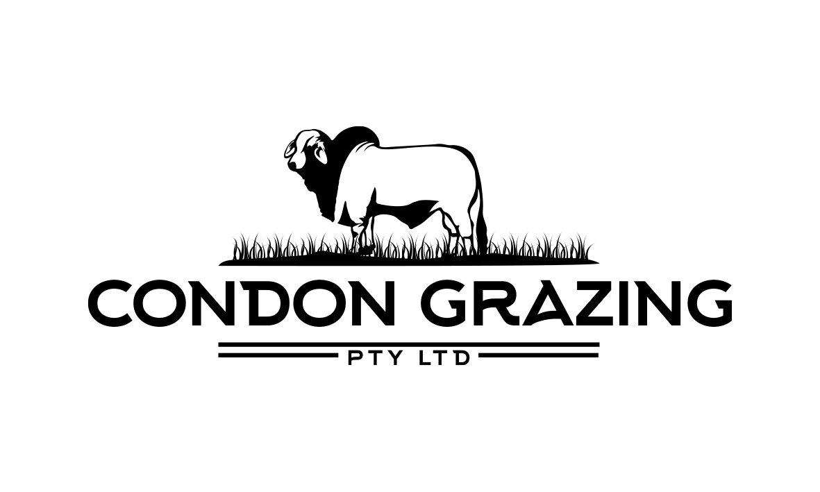 Logo-Design von trufya für dieses Projekt | Design #15353679