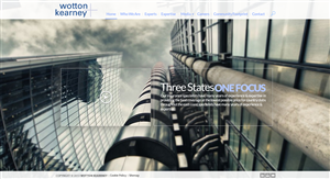 Web Design by TechWise for this project | Design: #2619380