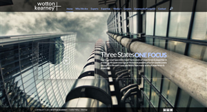 Web Design by TechWise for this project | Design: #2619400