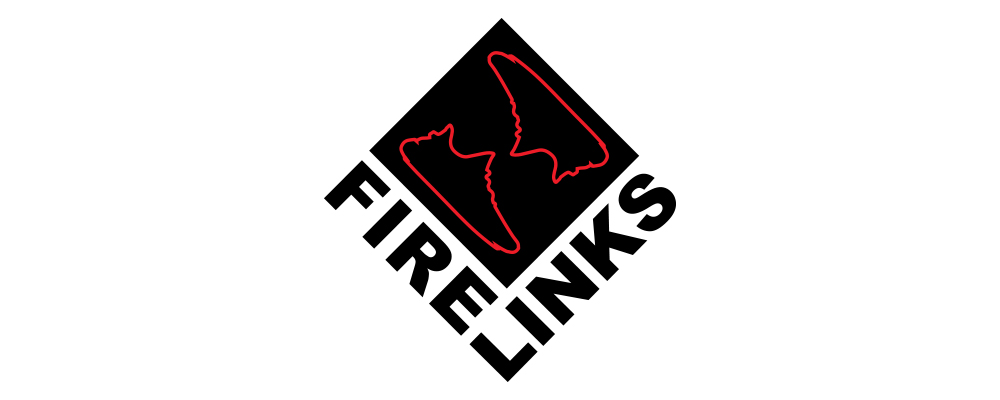Logo Design by FB.graphics for FireLinks | Design #15477431