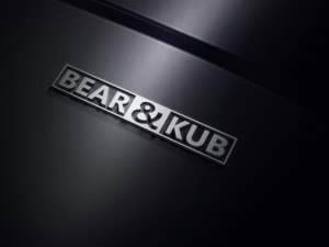 Logo Design by poran for Bear and Kub  | Design: #15372622