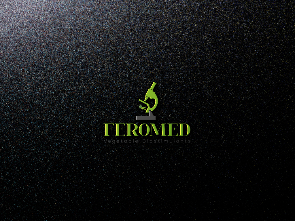 Logo Design by imsakiballhasan for this project | Design #15376493
