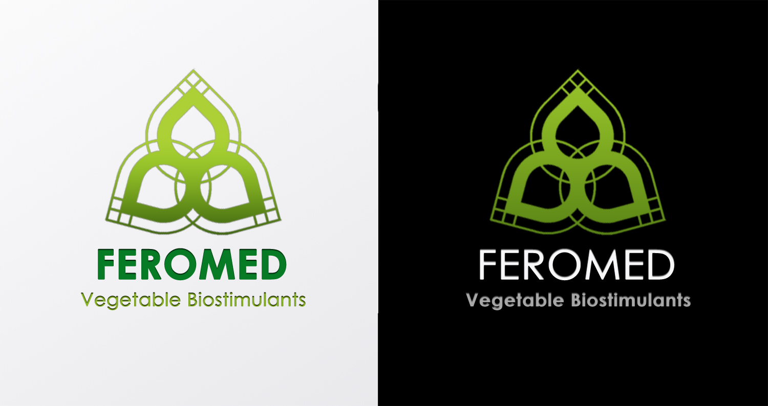 Diseño de Logo por Valentim para este proyecto | Diseño #15380142