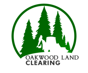 Logo Design by jprxnrvz for this project | Design: #15390749