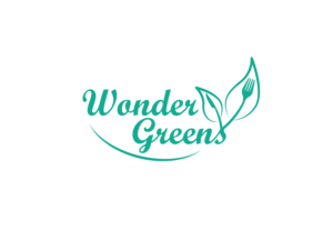 Logo Design by Milicica