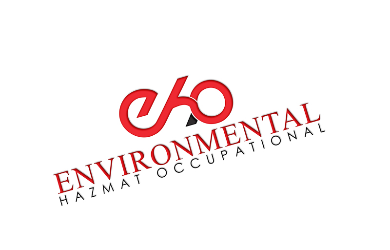 Logo Design by hotash for EHO Consulting | Design #15385672