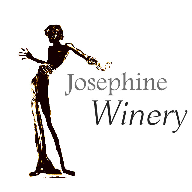 Logo Design by leo and alex design for this project | Design #2627071