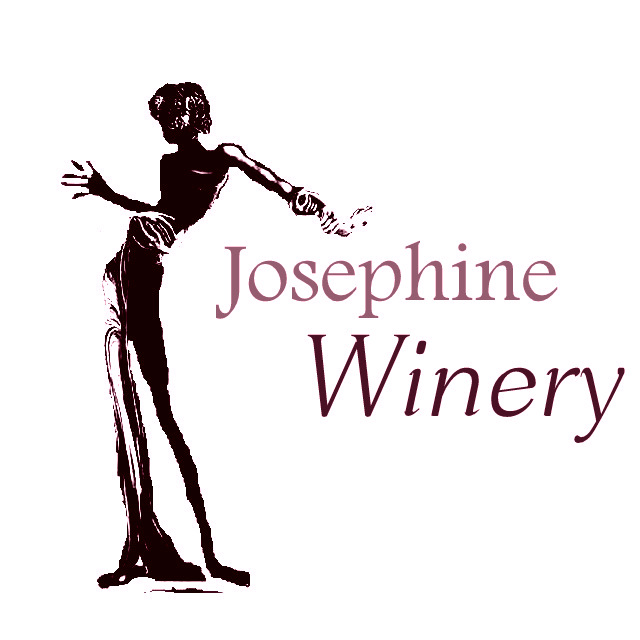 Logo Design by leo and alex design for this project | Design #2630092