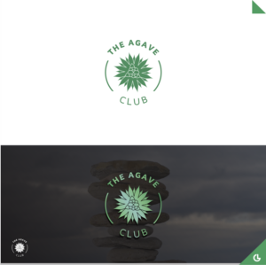 Design de Logo par R!CKY pour ce projet | Design : #15407992