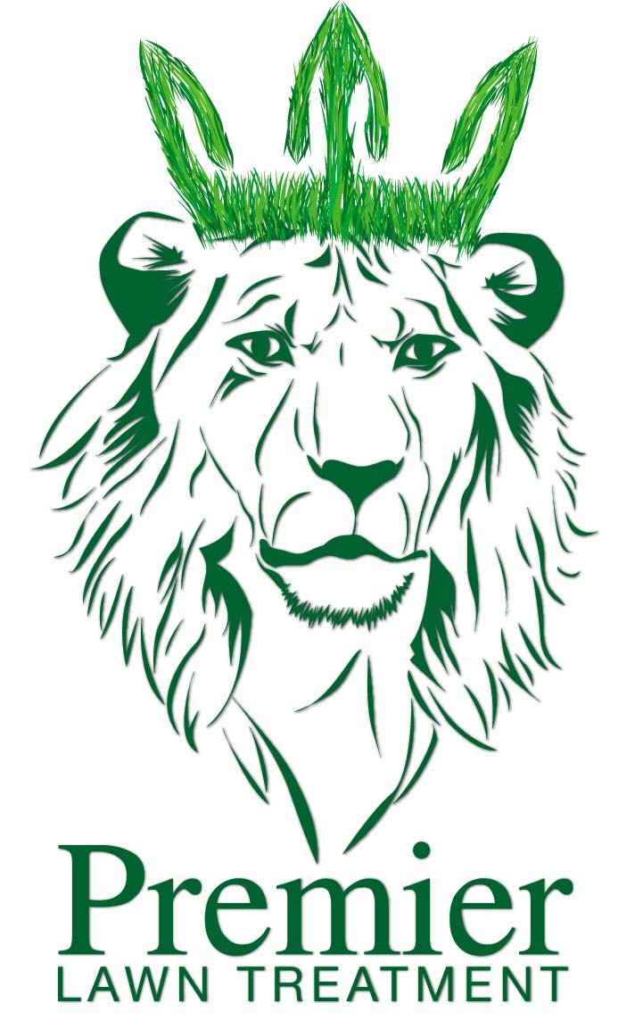 Diseño de Logo por altair029 para este proyecto | Diseño #588869