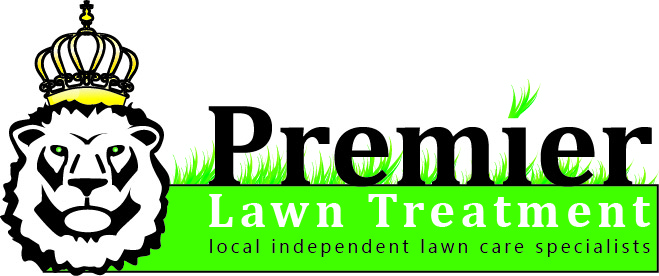 Logo Design by skyskier for this project | Design #588067