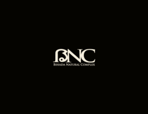 Logo Design by noishotori for KSS Global Co,.Ltd. | Design: #15381286