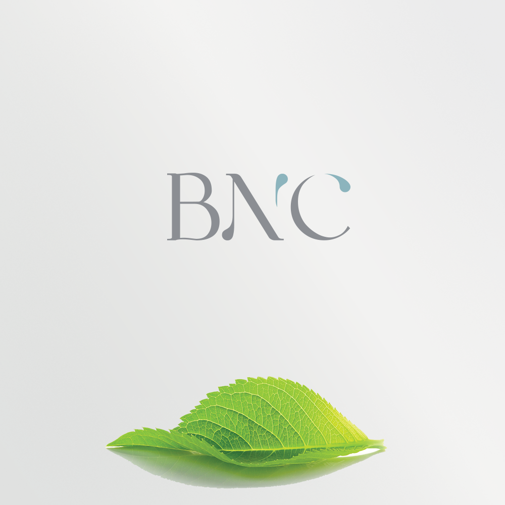 Logo Design by groomfox for KSS Global Co,.Ltd. | Design #15374769