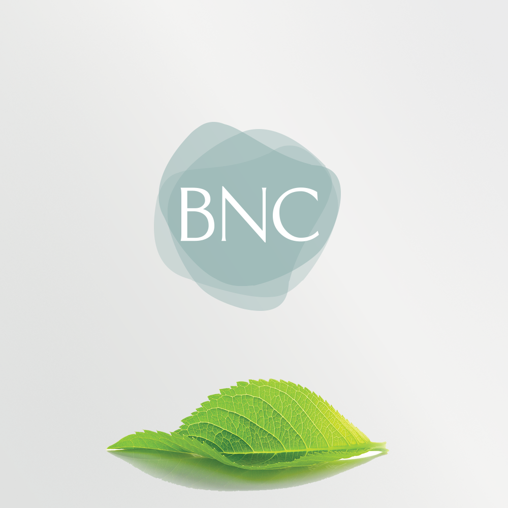 Logo Design by groomfox for KSS Global Co,.Ltd. | Design #15374778