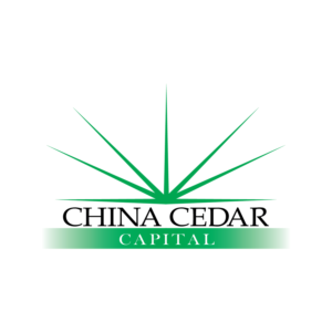Logo Design by Antun Kaic for this project | Design #15428273