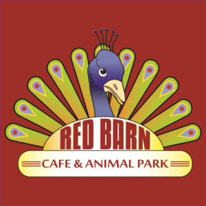 Logo Design by Global Stars Agency for this project | Design: #15389911